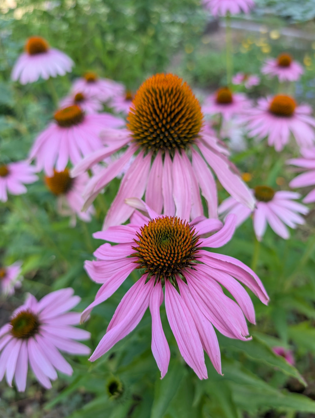 Caring for Yourself Through a Season of Heat