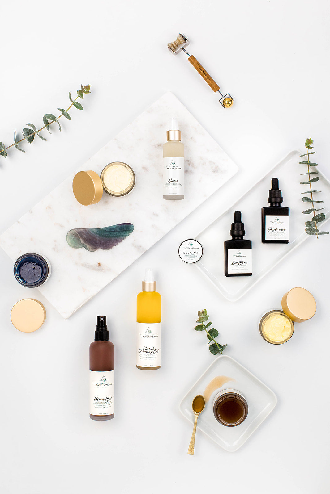 Vibrant Aging Collection